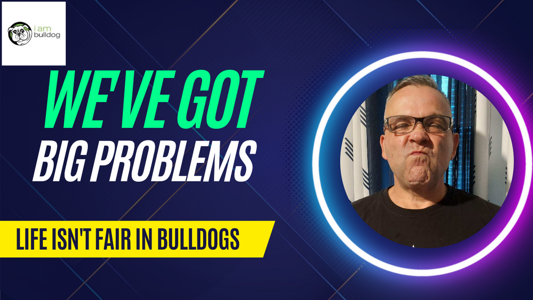What Are The Biggest Challenges For A Bulldog Breeder?