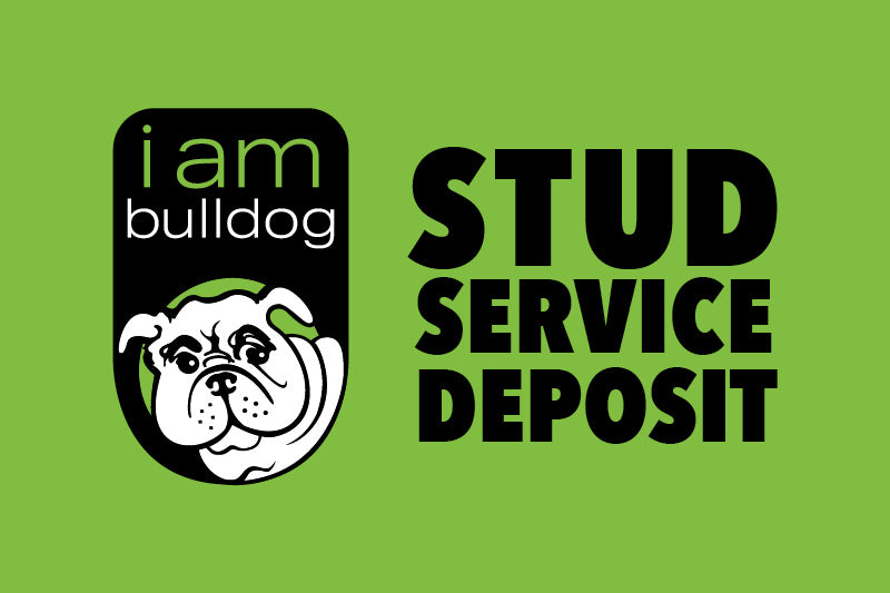 Deposit for Stud Service