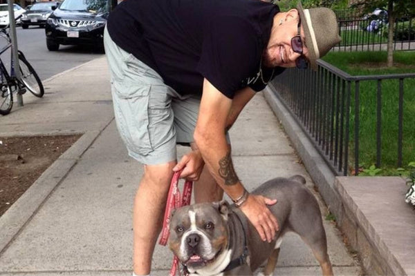 Comedian Sinbad Stops To Admire And Show Love To An I Am Bulldog