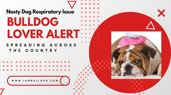 Nasty Dog Respiratory Issue Spreading Across The Country