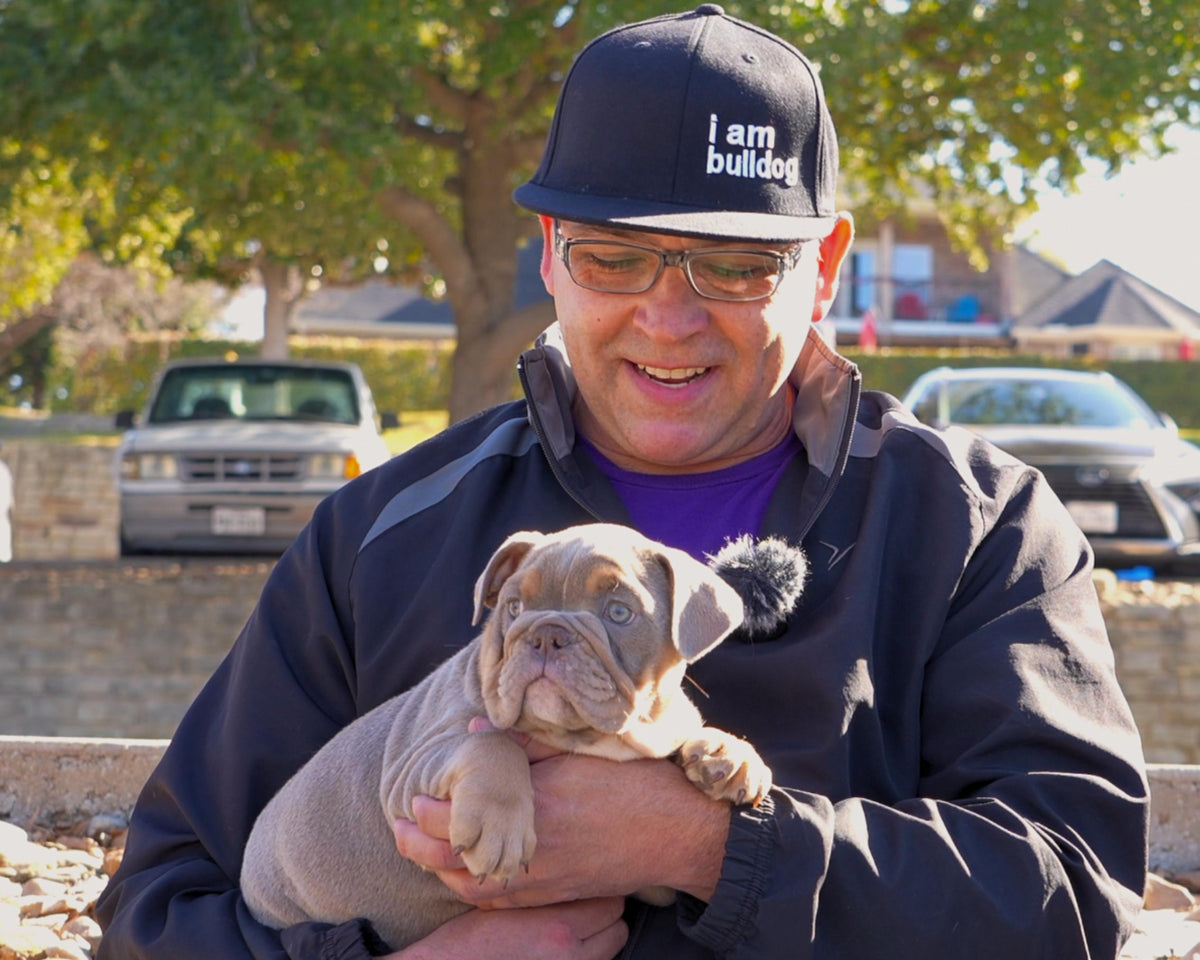 Contact Us | I Am Bulldog