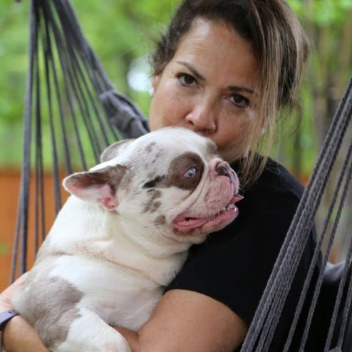 JEWEL IS AVAILABLE, Stunning Lilac Merle French Bulldog, Female